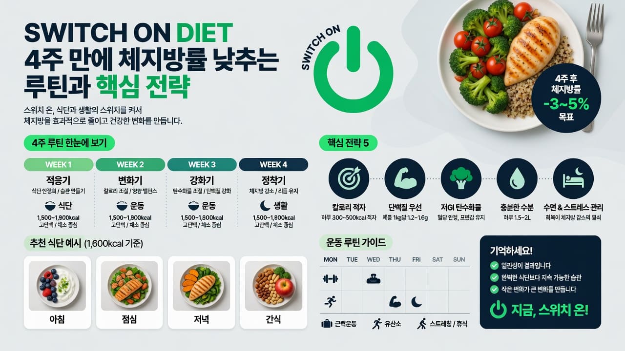 스위치 온 다이어트 식단 가이드